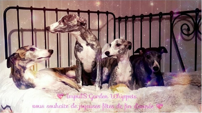 Impul's Garden - JOYEUSES FETES
